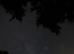 img_2097.jpg