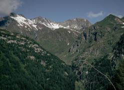_mg_7200.jpg