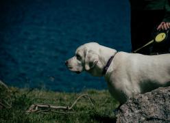 _mg_7220.jpg