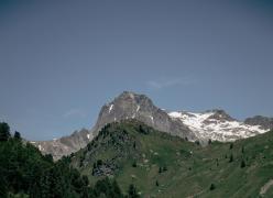 _mg_7236.jpg