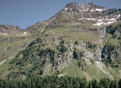 _mg_7239.jpg