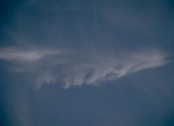 _mg_7244.jpg