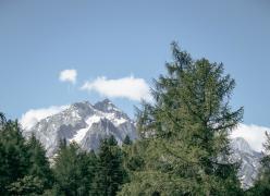 _mg_7071.jpg