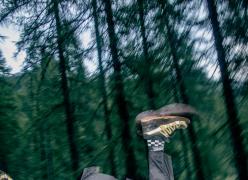 _mg_7374.jpg