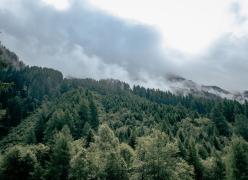 _mg_7409.jpg