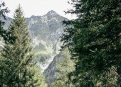 _mg_7041.jpg